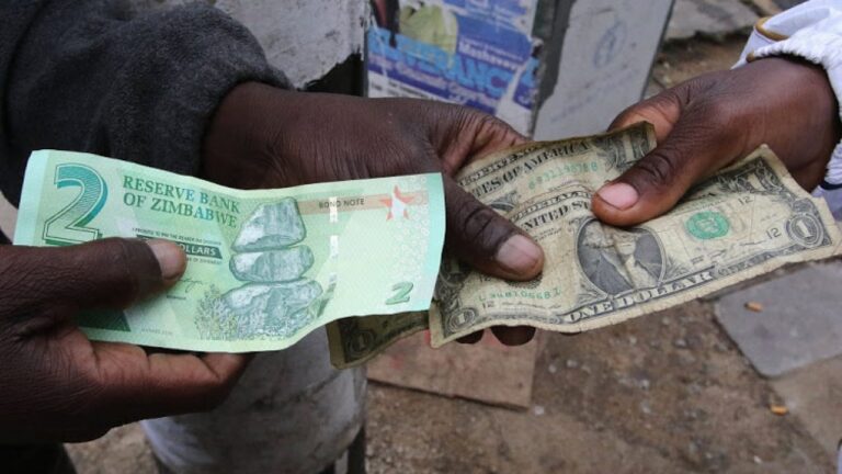 Zim dollar further loses value