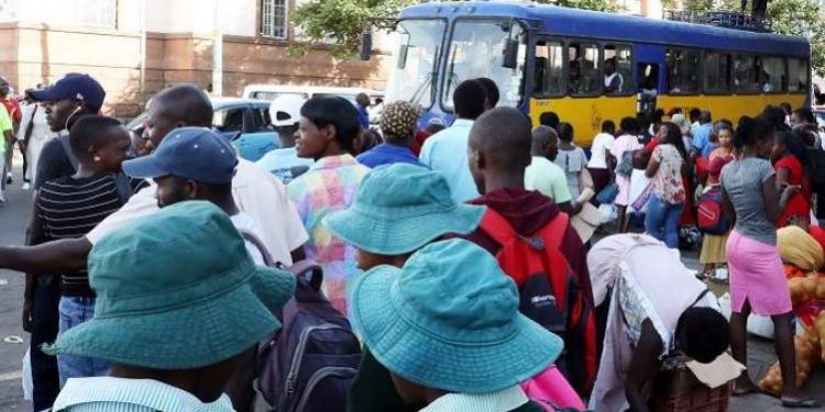 Zupco buses for pupils