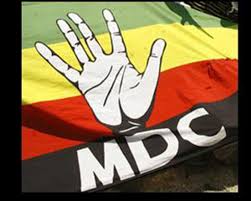 Opinion: MDC-T and MDC Alliance are two different parties