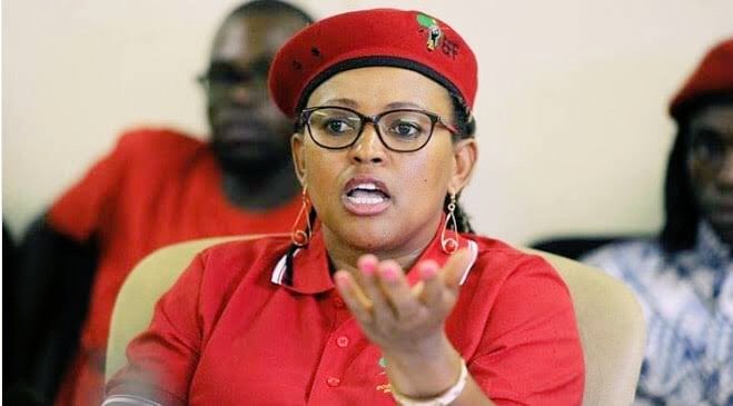 Mandisa Mashego reveals why she resigned from EFF leadership positions