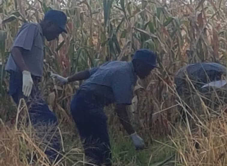 Zimbabwe top cop shot while stealing maize