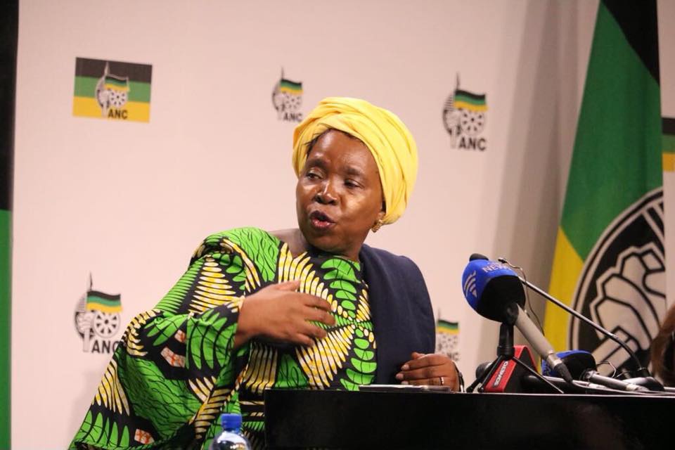 Nkosazana Dlamini-Zuma Biography, Profile, Age, Speech,Net Worth