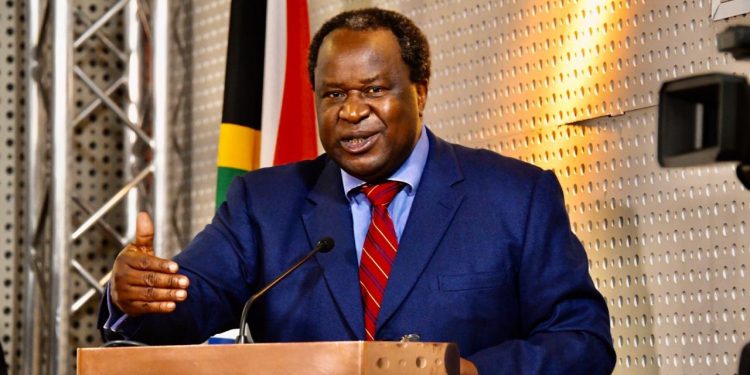 Tito Mboweni Biography, Recipes, Age, Net Worth, Wife, Qualifications, Contacts, Speech