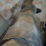 Zimbabwe journalists attacked by soldiers harare