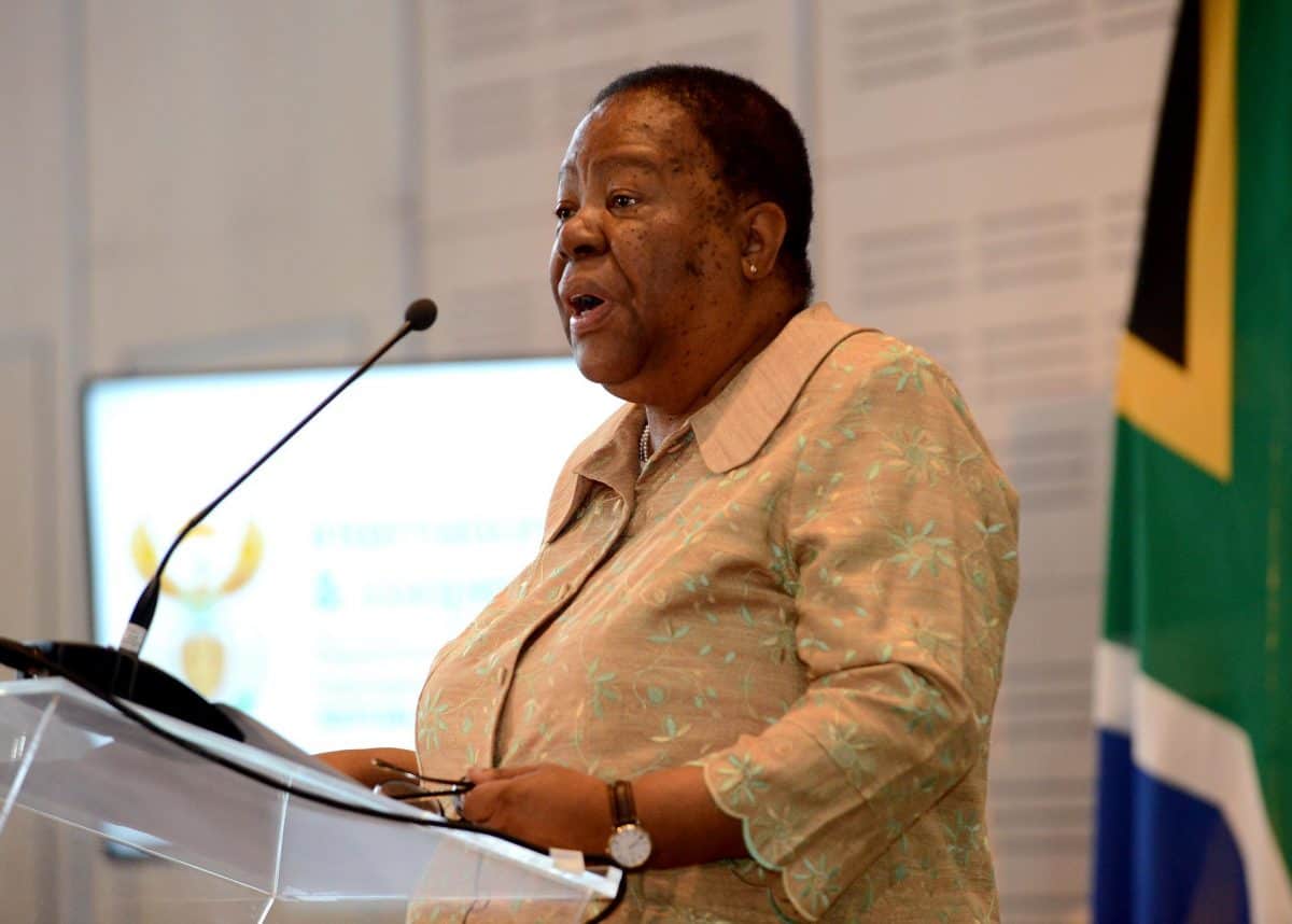naledi pandor zimbabwe army invasion