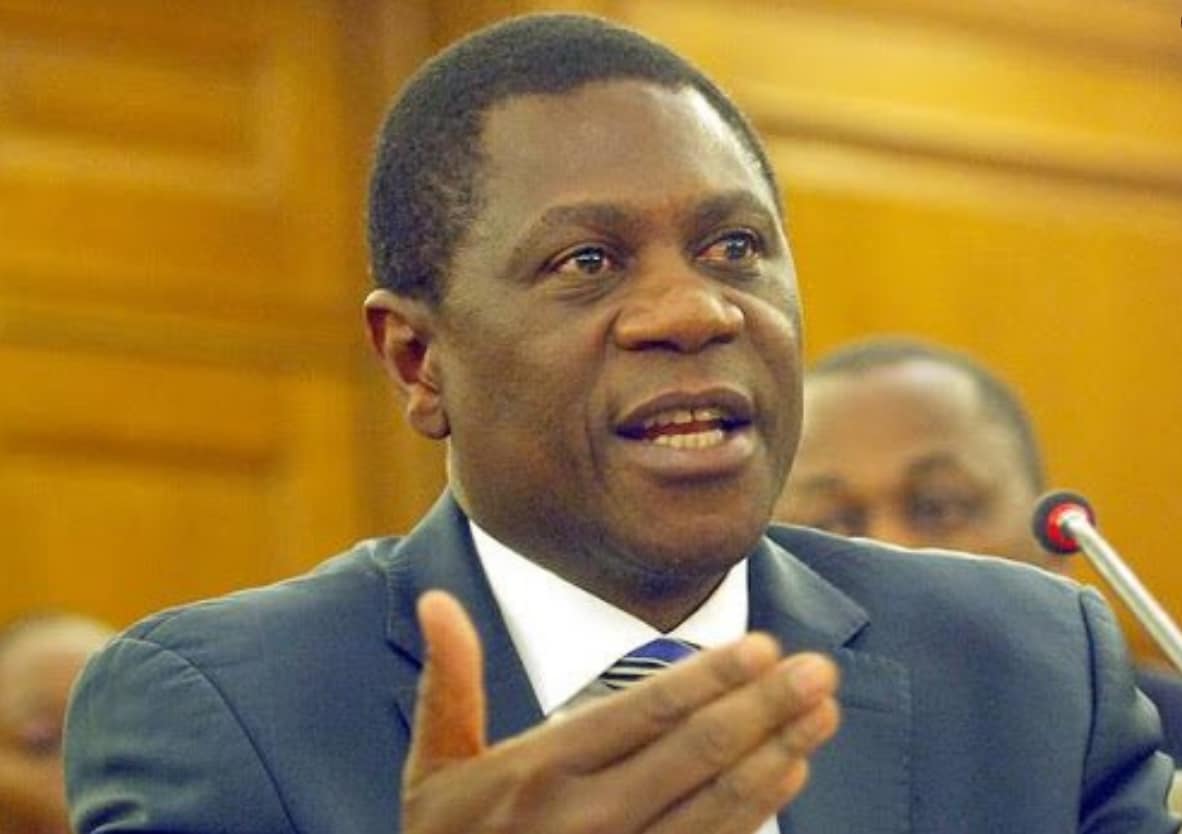 ANC treasurer general, Paul Mashatile's wife Manzi Ellen Mashatile has died
