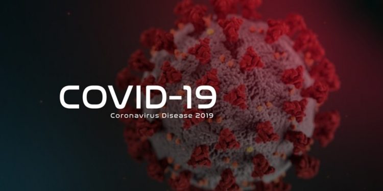 Covid-19 deaths Zimbabwe baby dies