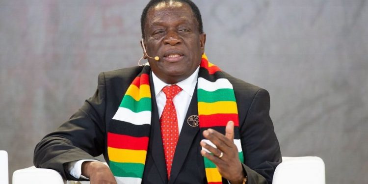Mnangagwa Sued For Not Appointing Enough Women As Ministers