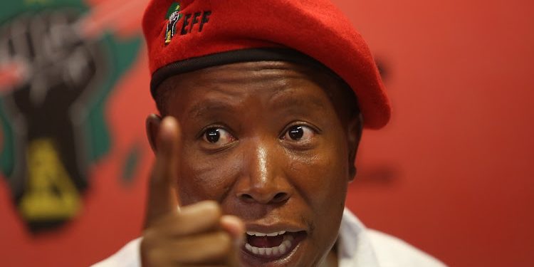 Malema tells Zimbabweans revolution
