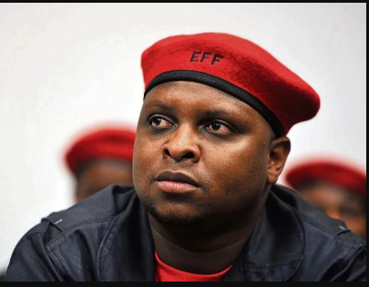 floyd shivambu warns zanu pf