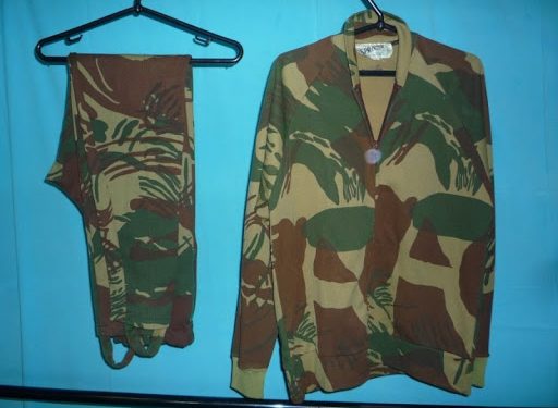 zimbabwe army colonel tells soldiers to let people protest