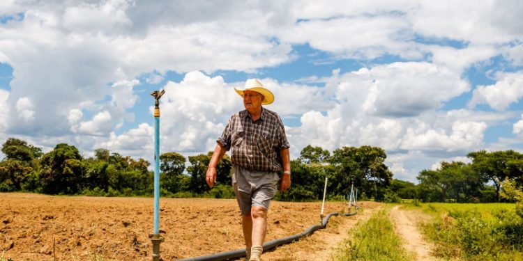 zimbabwe return land to former owners