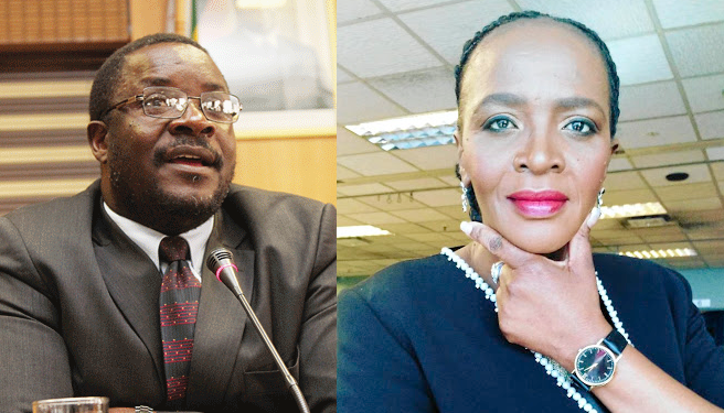 george charamba zimbabwe spokesperson sophie mokoena