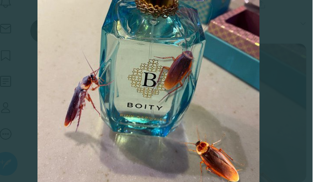 Roaches derail Boity’s efforts to promote own perfume