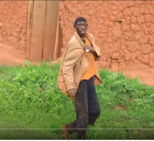 Boy chimpanzee Rwanda