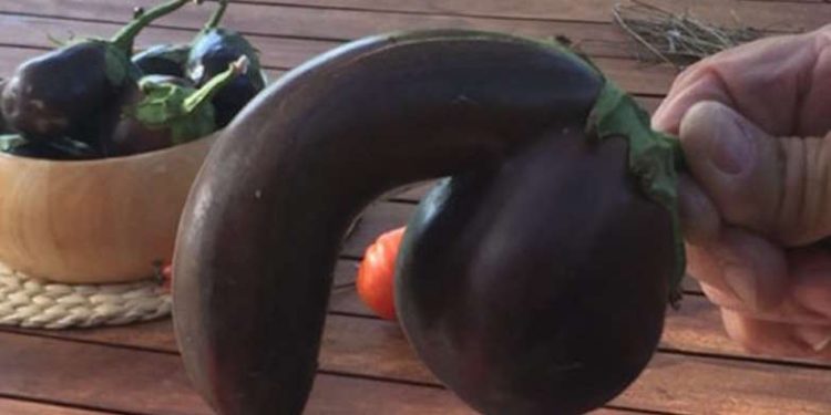 Countries with men who have the largest manhood sizes in the world