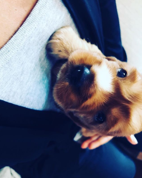 Lawrence Maleka- Zolani fom The River