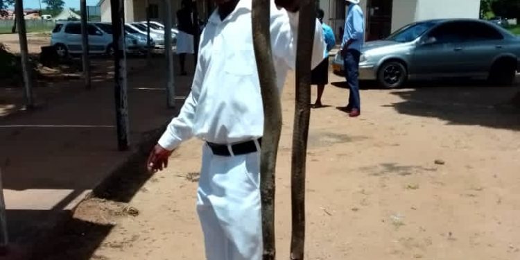 Another enormous snake killed at Mvuma Hospital