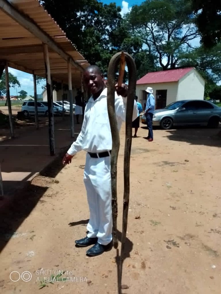 Another enormous snake killed at Mvuma Hospital