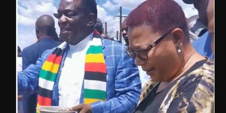 Khupe leader of opposition in parliament Mwonzora