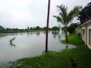 Wetland settlers hit by floods