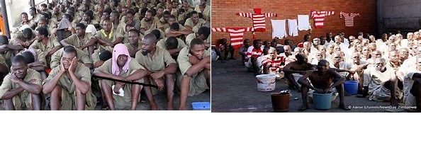 Which is safer prison or home ZPCS records 90% Covid-19 recovery rate.