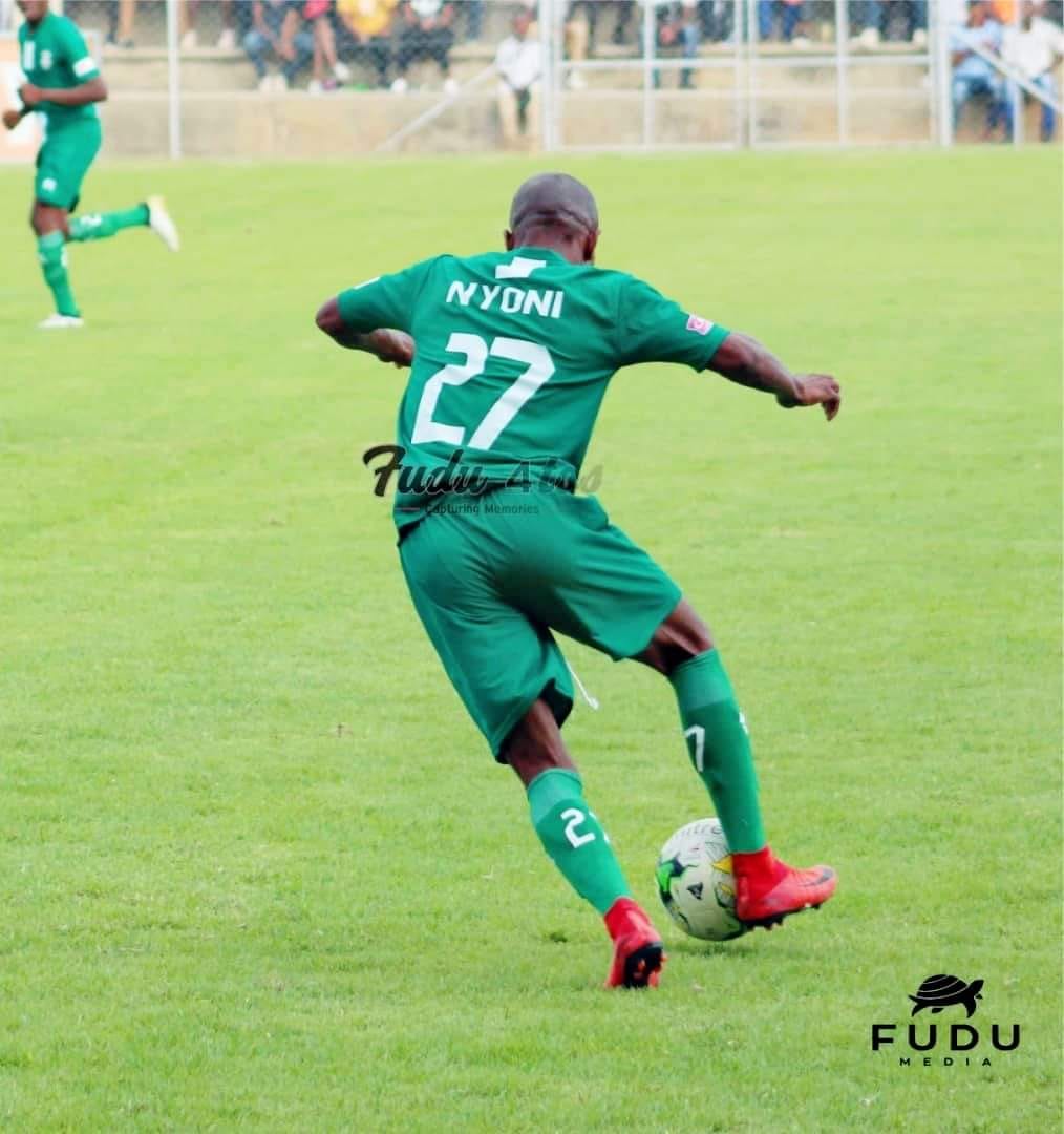 When did Nyoni’s career begin?