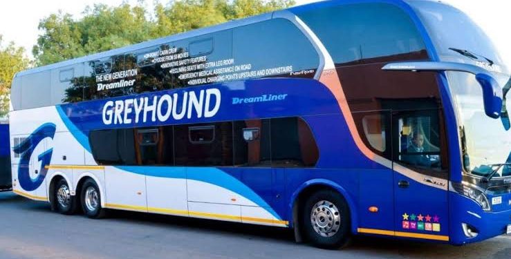 Grey Hound and City Liner shut down