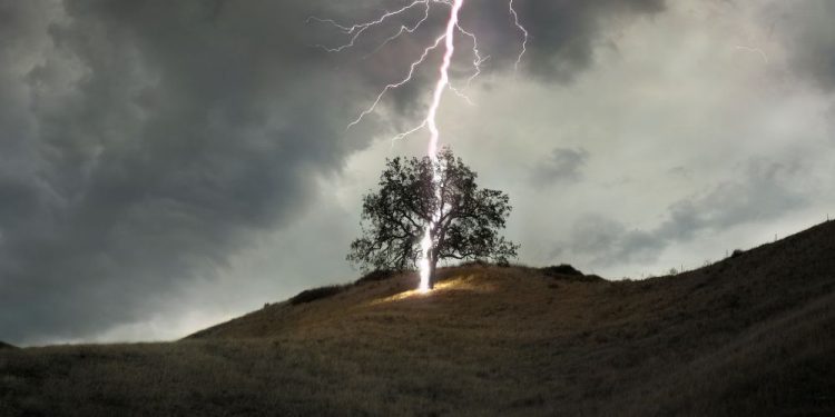 Lighting strikes four men drinking alcohol under a tree and kills three