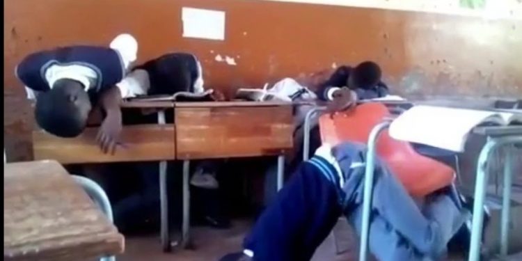 School in Chipinge shuts after teachers and pupils constantly faint after seeing snakes in classrooms