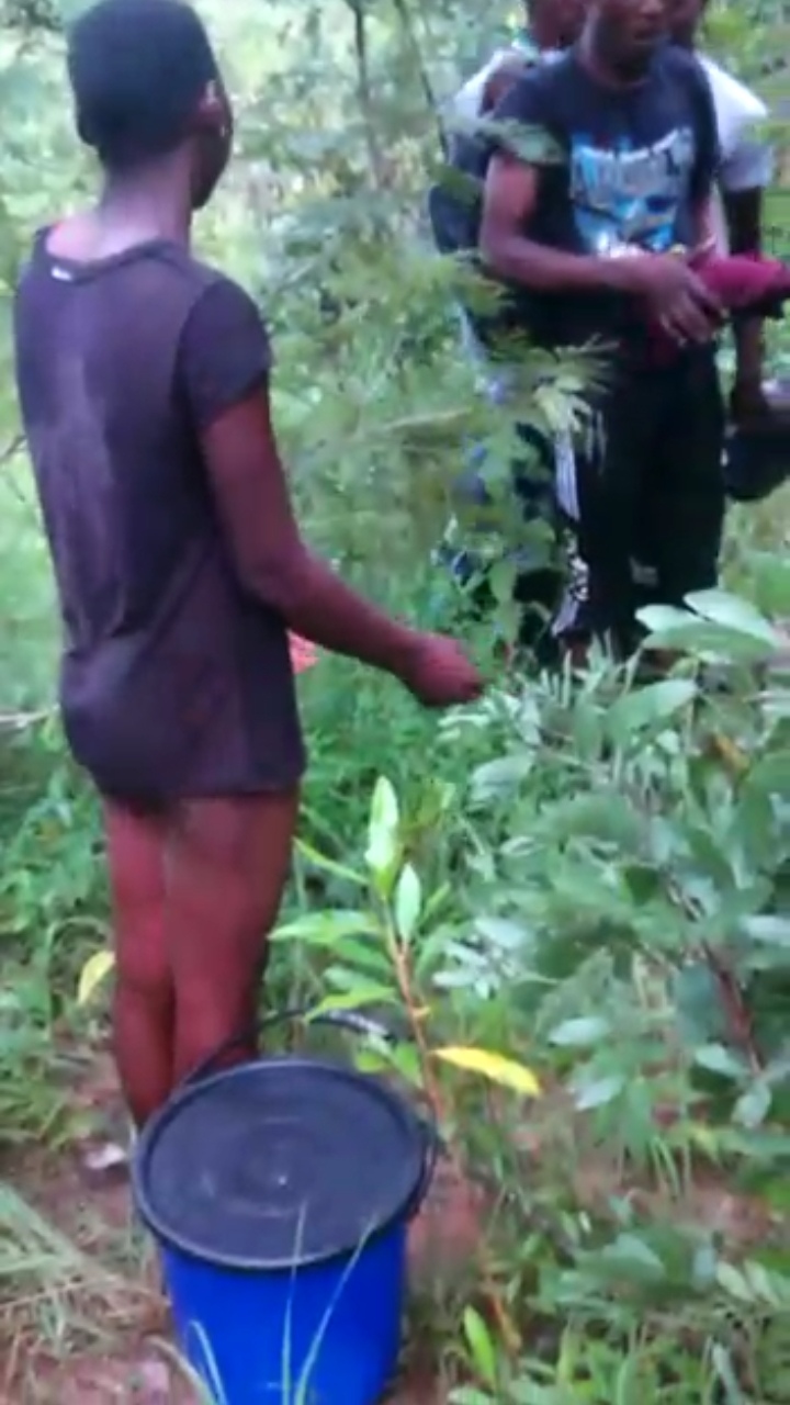 Video: Husband humiliates wife after catching her being intimate with his uncle