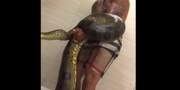 Video: Mpumalanga slay queen goes AWOL after leaking videos of blesser bathing with snake