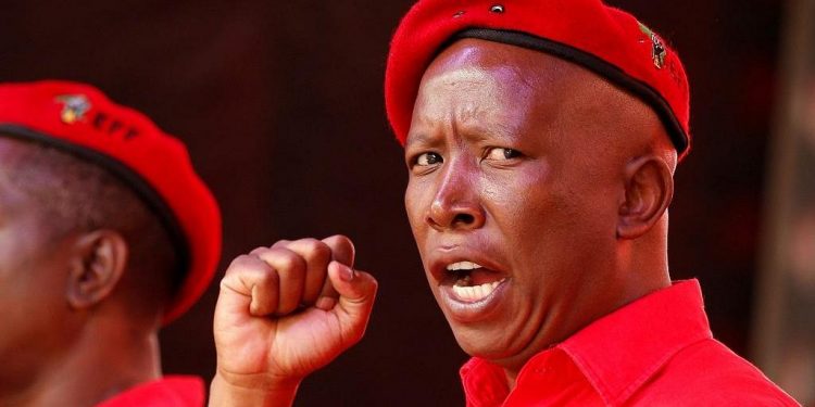 Video: Mzansi reacts to Julius Malema's dance moves