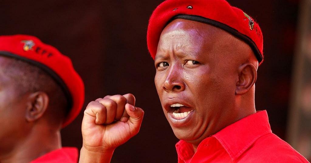 Video: Mzansi reacts to Julius Malema's dance moves