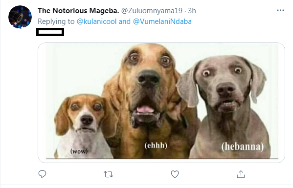 Watch: Shameless Mr Smeg cusses on live broadcast