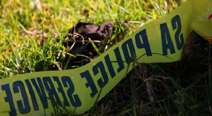 Pictures: Alexandra teen stabbed to death by alleged girlfriend,14