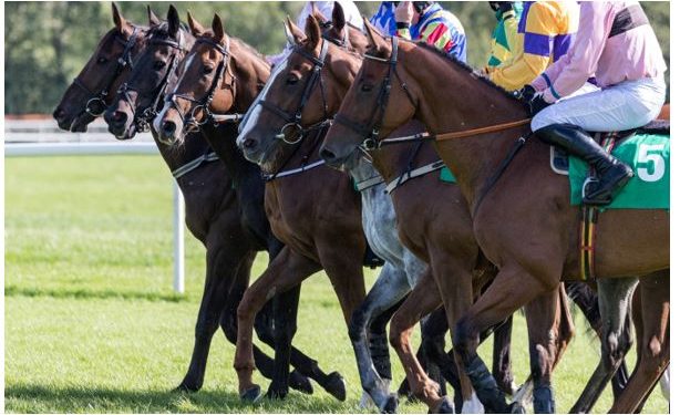 Outside bets for the Prix de l'Arc de Triomphe