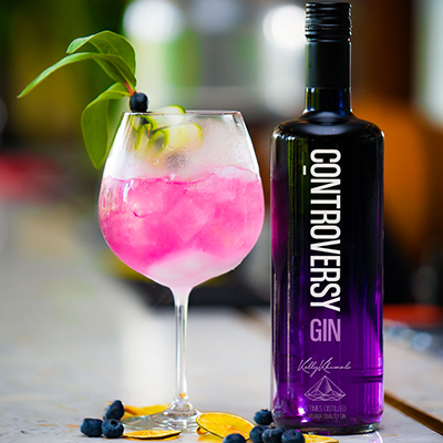 Kelly Khumalo controversy gin