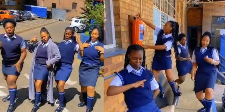 Gomora cast Nkao Tempela Challenge