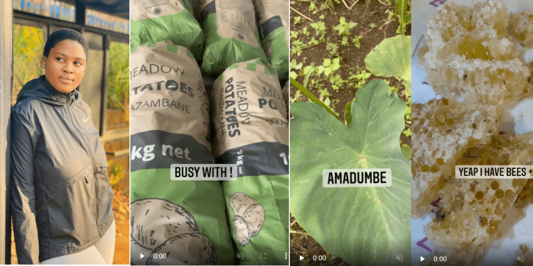Asavela Ngqithi ventures into farming-Image Source(Instagram/Asavela Mngqithi)