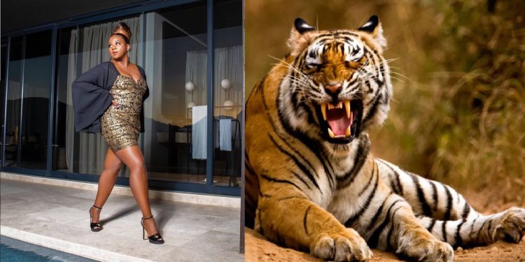 Watch as Shauwn Mkhize plays with a tiger, scaring her sister away