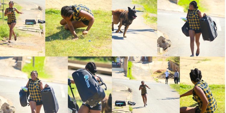 Ku Tough ka Door-to-door distributor