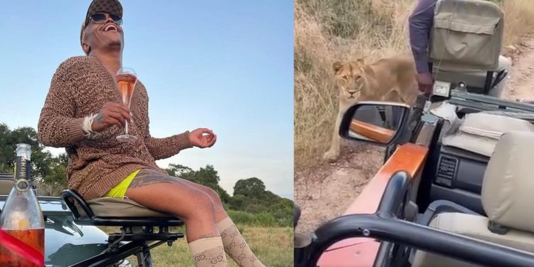 Simizi gets closer to a lion on safari