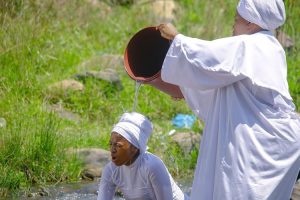 Gugu Gumede business empire