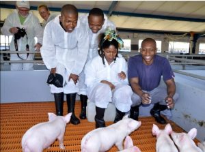 Siphesihle Vazi is a pig farmer