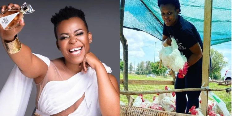 Zodwa Wabantu's streams of income