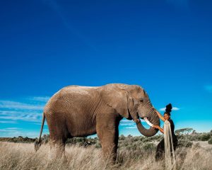 Shauwn Mkhize playing with an elephant