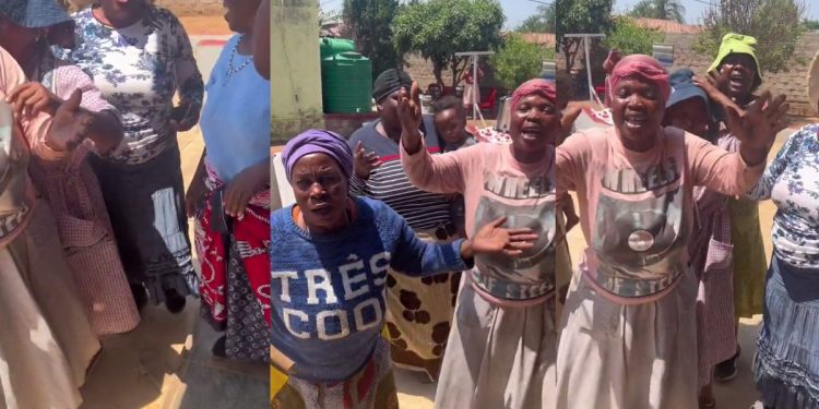 Watch: Sangoma Gogo Maweni gets a Queen welcome by Limpopo elders, singing songs and dances