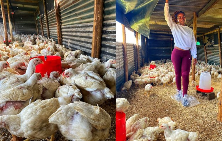 Actress Zikhona Bali ventures into farming as she expands her business empire