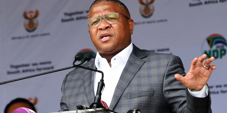 Fikile Mbalula